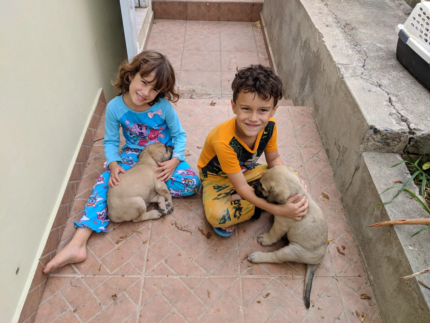 A brother and sister sit outside with two small puppies in Puerto Rico.